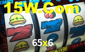 Programa VIP 65x6