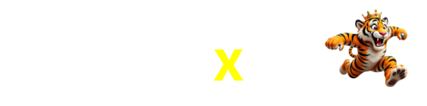 65x6